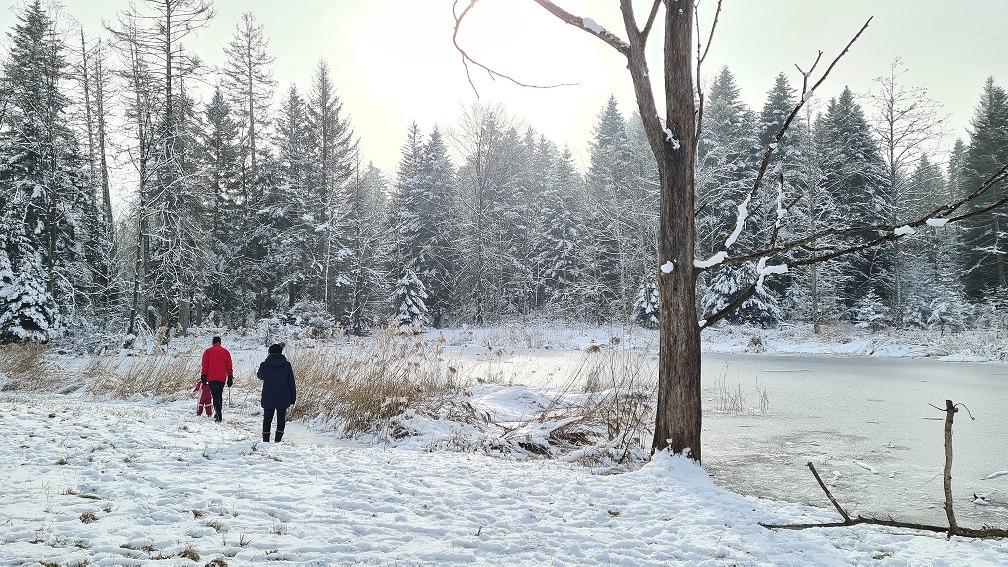 Früherer Eishockeyweiher im Moos Niederrohrdorf